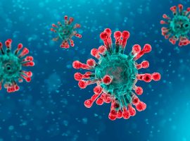 ¿De qué trata la emergencia sanitaria en México?