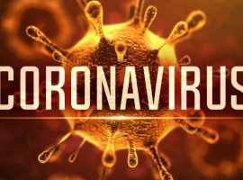 Mitos y realidades del COVID-19